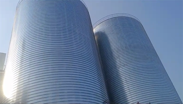 金山屯2座混凝土高架卷板仓